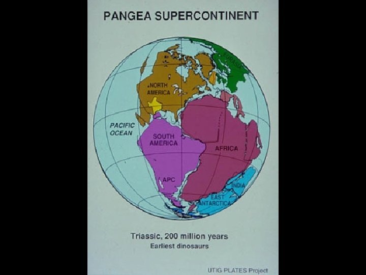 PLATES Early Mesozoic 