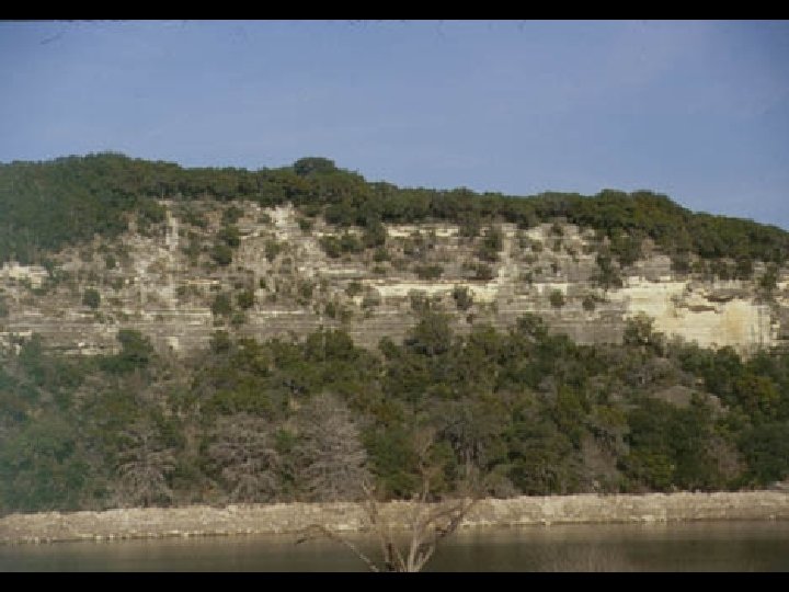 Cretaceous Limestone Exposures along the Colorado River in Austin 