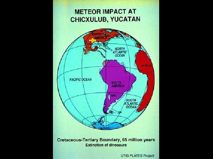 PLATES End Cretaceous Asteroid Impact 
