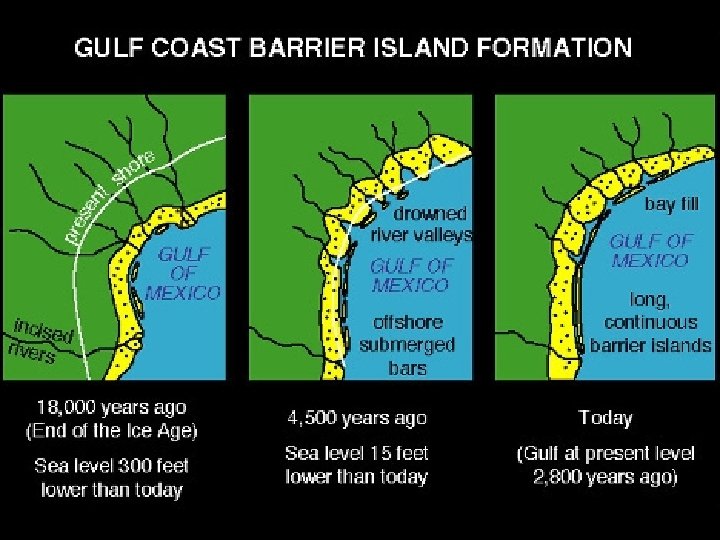 Barrier island development 