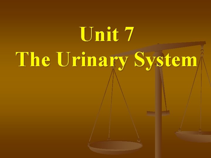 Unit 7 The Urinary System 