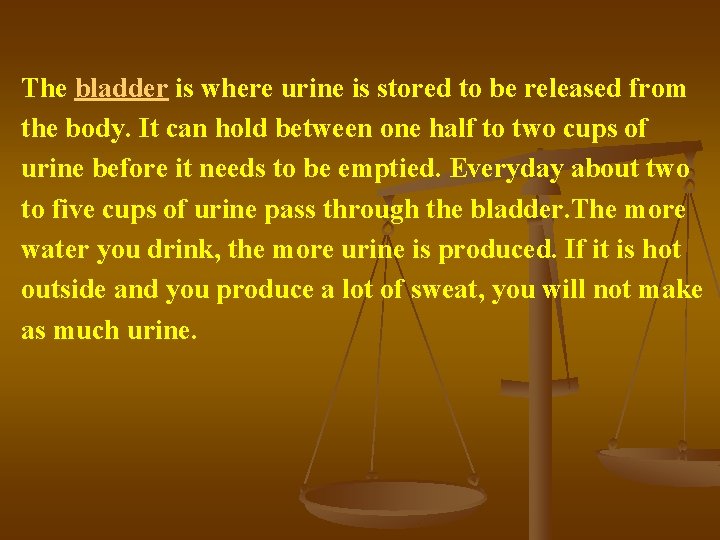 The bladder is where urine is stored to be released from the body. It