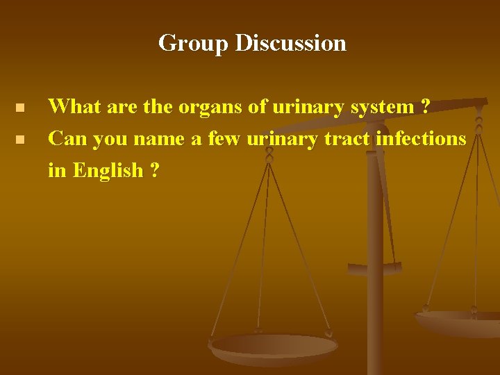 Group Discussion n n What are the organs of urinary system ? Can you