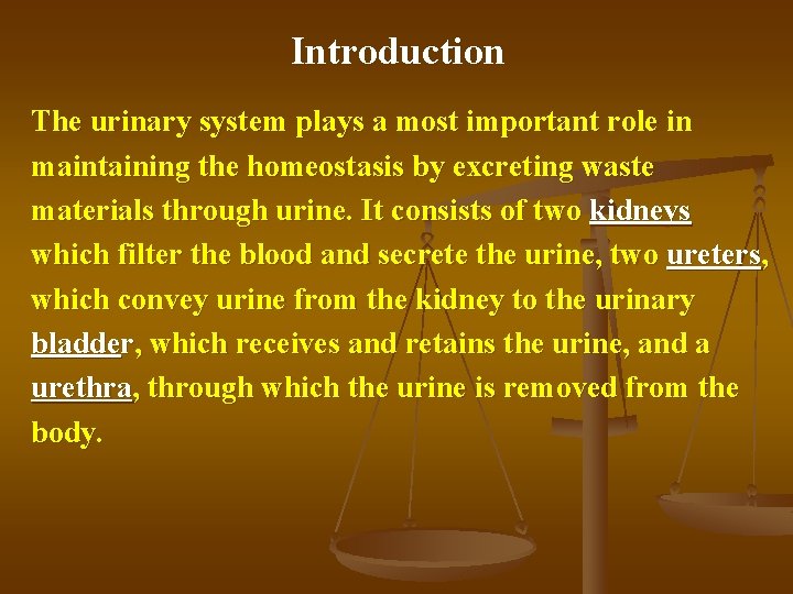 Introduction The urinary system plays a most important role in maintaining the homeostasis by