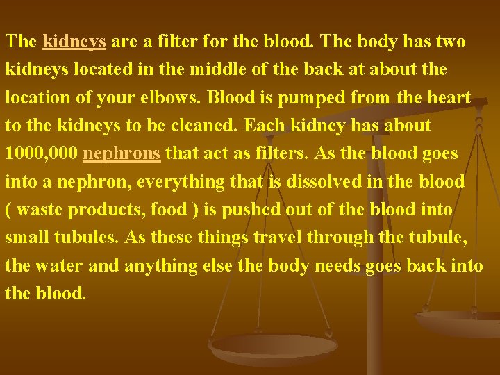 The kidneys are a filter for the blood. The body has two kidneys located