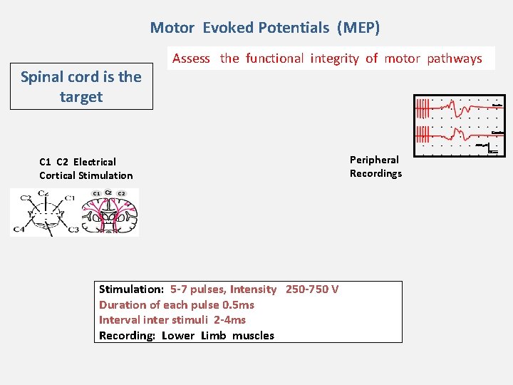 Motor Evoked Potentials (MEP) Spinal cord is the target Assess the functional integrity of