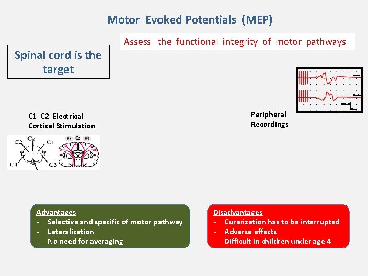 Motor Evoked Potentials (MEP) Spinal cord is the target Assess the functional integrity of