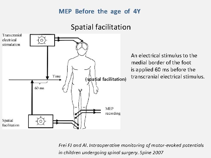 MEP Before the age of 4 Y Spatial facilitation An electrical stimulus to the