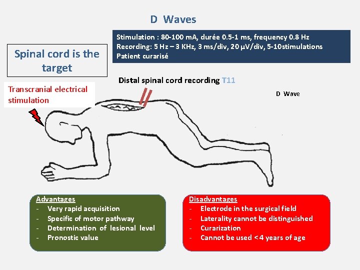 D Waves Spinal cord is the target Transcranial electrical stimulation Stimulation : 80 -100