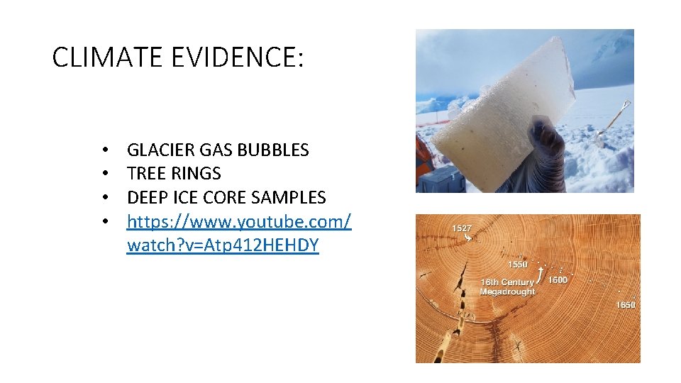 CLIMATE EVIDENCE: • • GLACIER GAS BUBBLES TREE RINGS DEEP ICE CORE SAMPLES https: