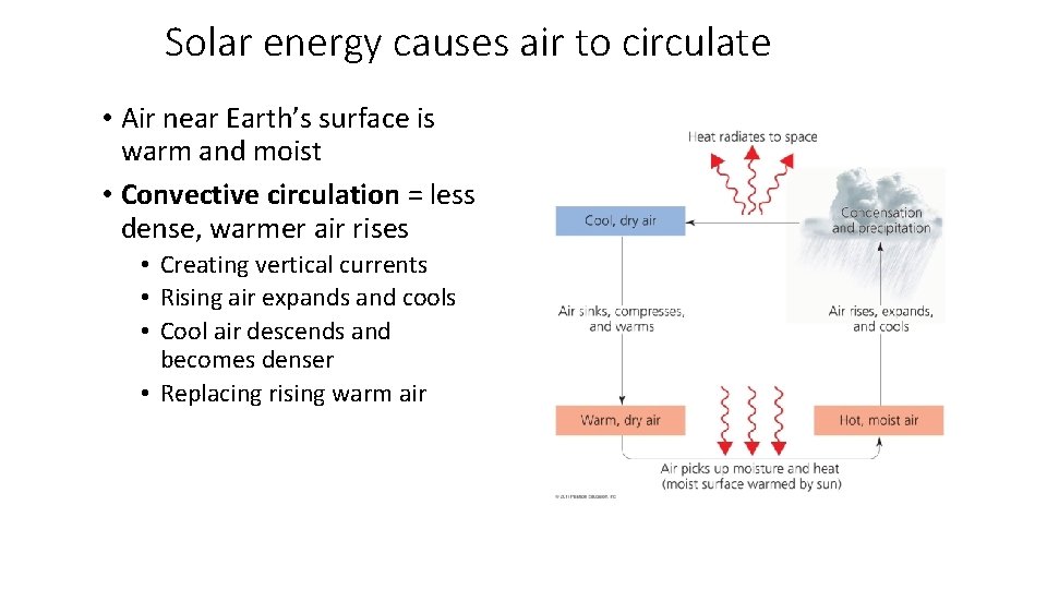 Solar energy causes air to circulate • Air near Earth’s surface is warm and