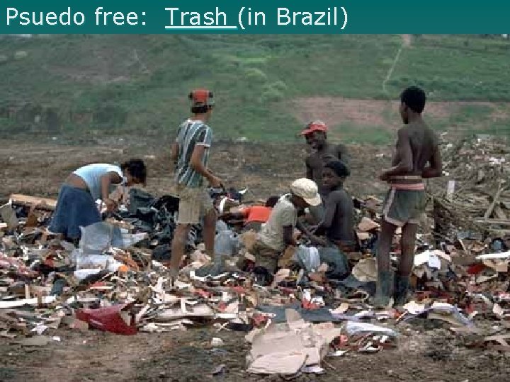 Psuedo free: Trash (in Brazil) 