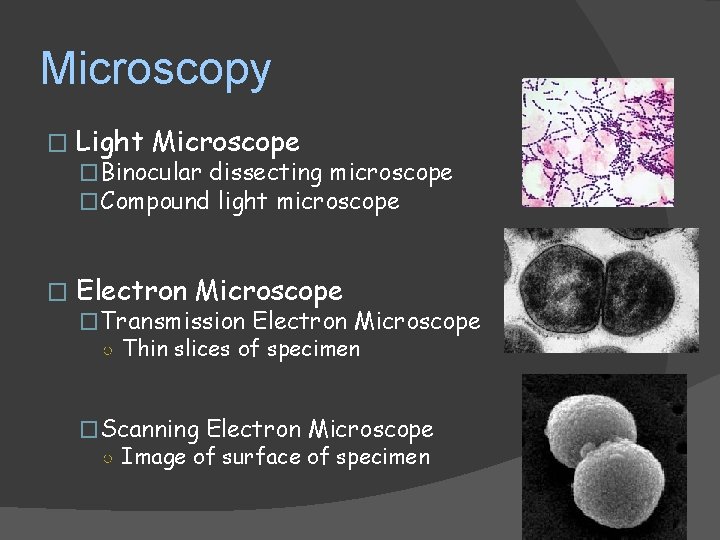 Exercise 2 Microscopy GENERAL BIOLOGY I LAB BSC