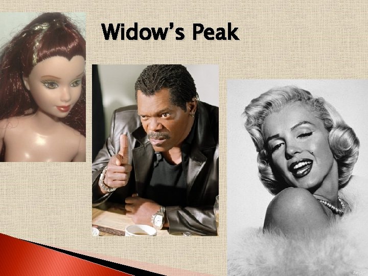 Widow’s Peak 