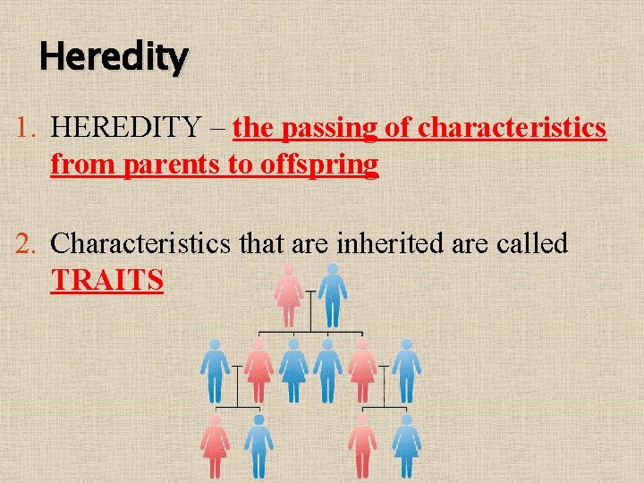 Heredity 1. HEREDITY – the passing of characteristics from parents to offspring 2. Characteristics