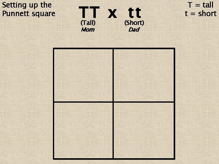Setting up the Punnett square TT x tt (Tall) Mom (Short) Dad T =