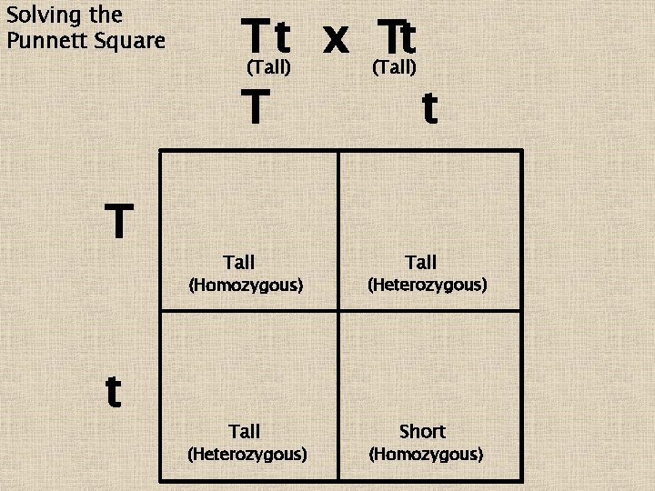 Solving the Punnett Square T t x Tt (Tall) T T t Tall (Homozygous)
