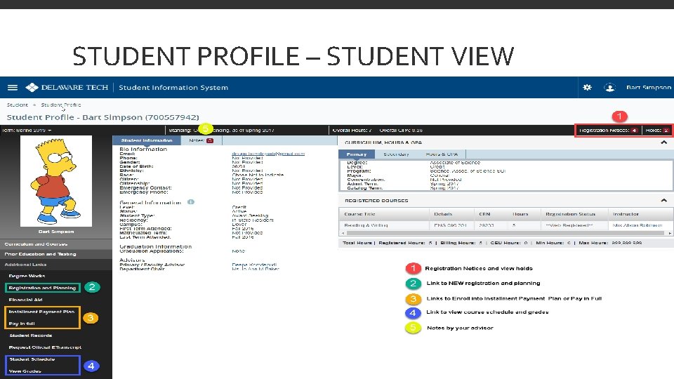 STUDENT PROFILE – STUDENT VIEW 