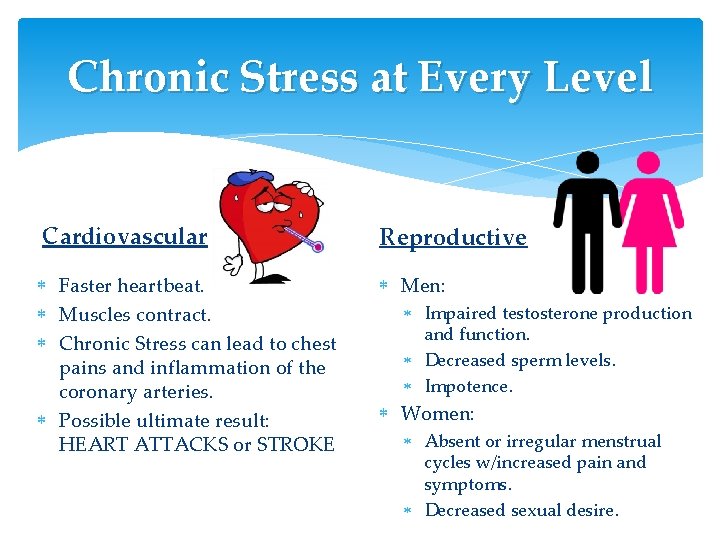 Chronic Stress at Every Level Cardiovascular Reproductive Faster heartbeat. Muscles contract. Chronic Stress can Chronic Stress at Every Level Cardiovascular Reproductive Faster heartbeat. Muscles contract. Chronic Stress can