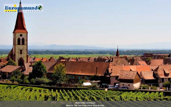 Enchanted Landscapes Beaune: The heart and charm of Burgundy. 