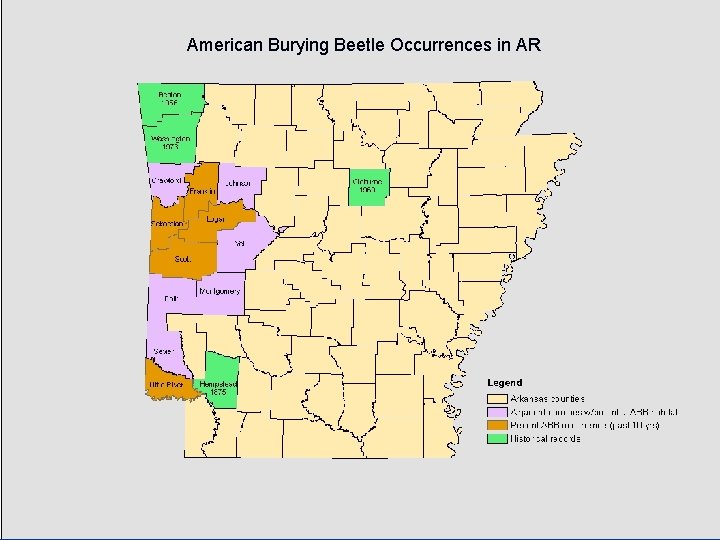 American Burying Beetle Occurrences in AR 