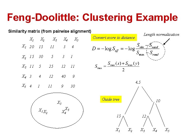 Feng-Doolittle: Clustering Example Similarity matrix (from pairwise alignment) X 1 X 2 X 3 Feng-Doolittle: Clustering Example Similarity matrix (from pairwise alignment) X 1 X 2 X 3