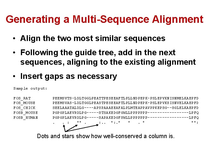Generating a Multi-Sequence Alignment • Align the two most similar sequences • Following the Generating a Multi-Sequence Alignment • Align the two most similar sequences • Following the