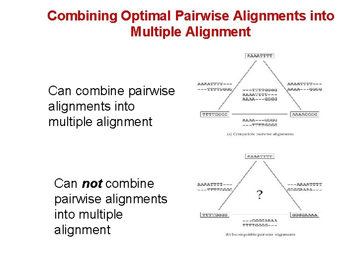 Combining Optimal Pairwise Alignments into Multiple Alignment Can combine pairwise alignments into multiple alignment Combining Optimal Pairwise Alignments into Multiple Alignment Can combine pairwise alignments into multiple alignment