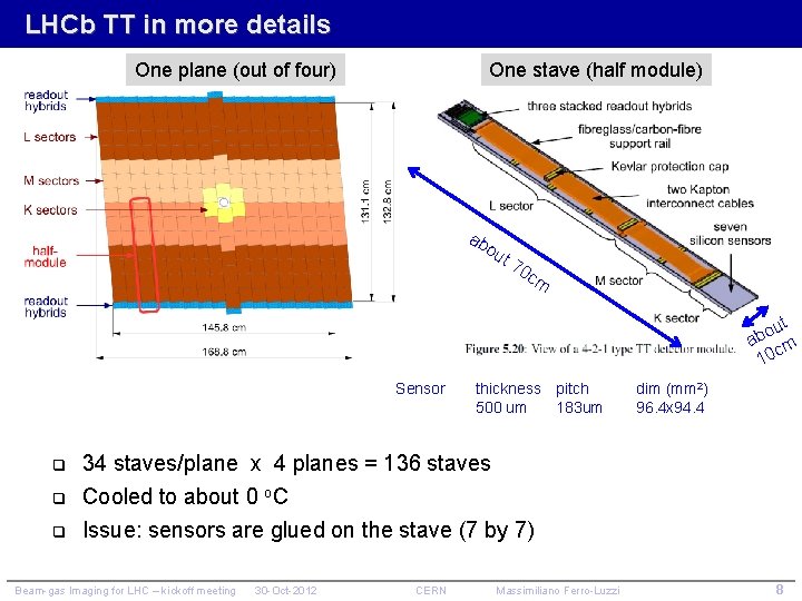 LHCb TT in more details One plane (out of four) One stave (half module)