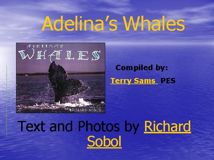 Adelina’s Whales Compiled by: Terry Sams PES Text and Photos by Richard Sobol 