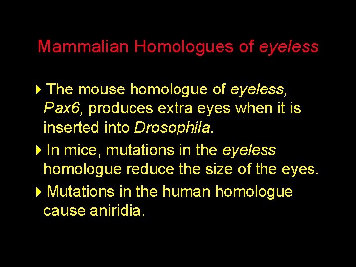 Mammalian Homologues of eyeless 4 The mouse homologue of eyeless, Pax 6, produces extra