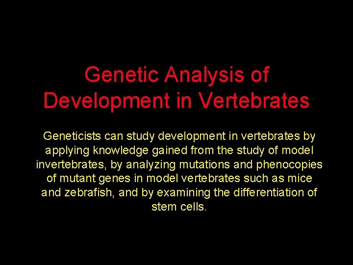 Genetic Analysis of Development in Vertebrates Geneticists can study development in vertebrates by applying