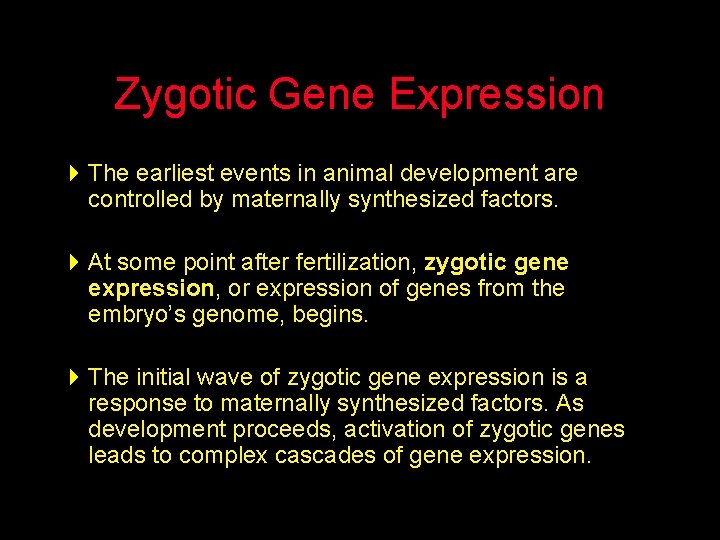 Zygotic Gene Expression 4 The earliest events in animal development are controlled by maternally