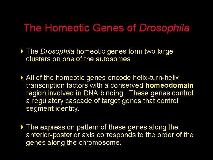 The Homeotic Genes of Drosophila 4 The Drosophila homeotic genes form two large clusters