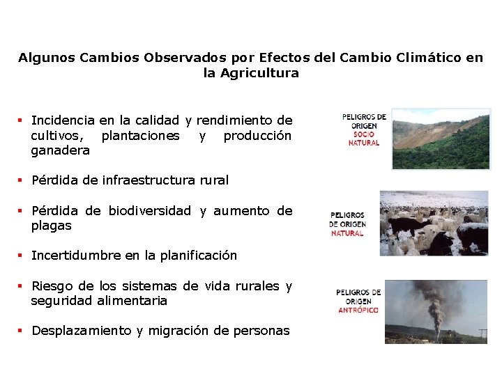 Algunos Cambios Observados por Efectos del Cambio Climático en la Agricultura § Incidencia en Algunos Cambios Observados por Efectos del Cambio Climático en la Agricultura § Incidencia en