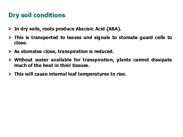 Dry soil conditions Ø In dry soils, roots produce Abscisic Acid (ABA). Ø This