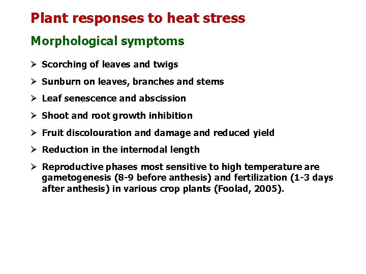 Plant responses to heat stress Morphological symptoms Ø Scorching of leaves and twigs Ø