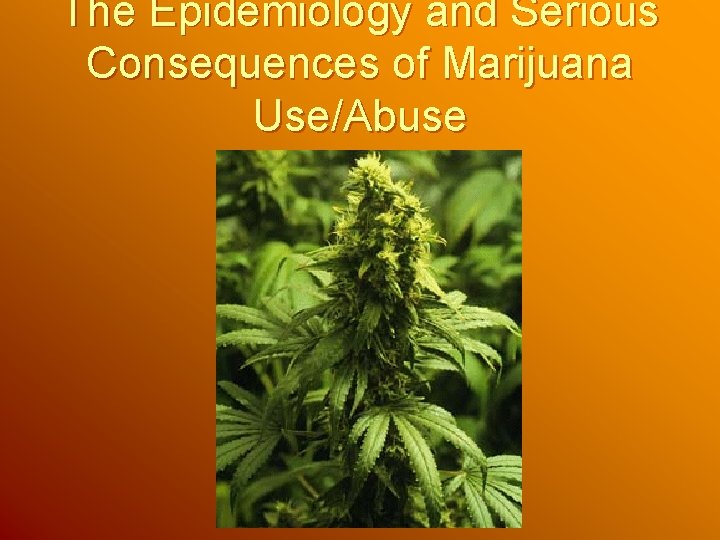 The Epidemiology and Serious Consequences of Marijuana Use/Abuse The Epidemiology and Serious Consequences of Marijuana Use/Abuse