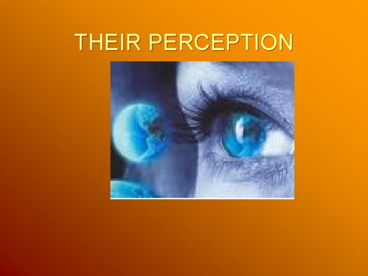 THEIR PERCEPTION THEIR PERCEPTION