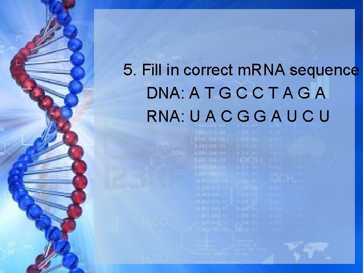 5. Fill in correct m. RNA sequence DNA: A T G C C T