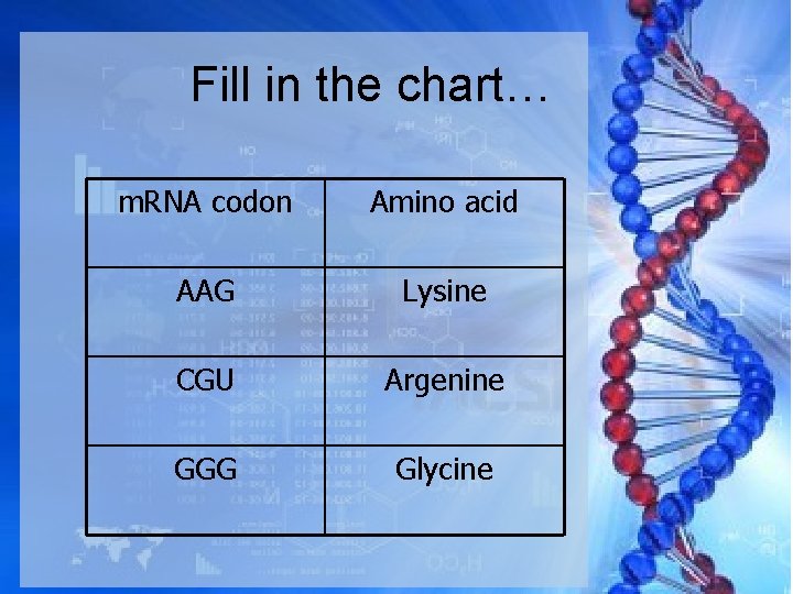 Fill in the chart… m. RNA codon Amino acid AAG Lysine CGU Argenine GGG