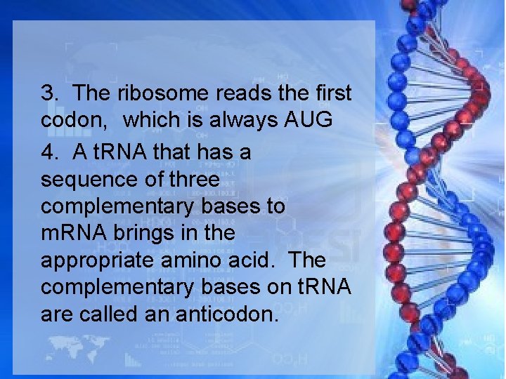 3. The ribosome reads the first codon, which is always AUG 4. A t.