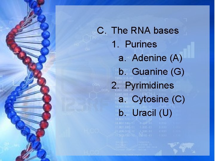 C. The RNA bases 1. Purines a. Adenine (A) b. Guanine (G) 2. Pyrimidines