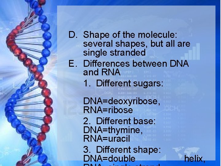 D. Shape of the molecule: several shapes, but all are single stranded E. Differences