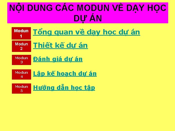 NÔ I DUNG CÁC MODUN VỀ DẠY HỌC DỰ ÁN Modun 1 Tổng quan