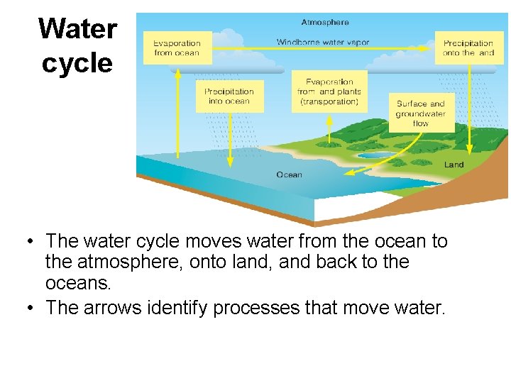 Water cycle • The water cycle moves water from the ocean to the atmosphere,