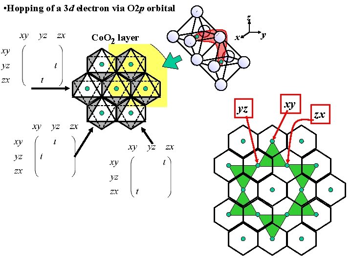 • Hopping of a 3 d electron via O 2 p orbital Co. • Hopping of a 3 d electron via O 2 p orbital Co.