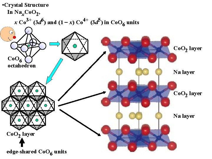 • Crystal Structure In Nax. Co. O 2, x Co 3+ (3 d • Crystal Structure In Nax. Co. O 2, x Co 3+ (3 d