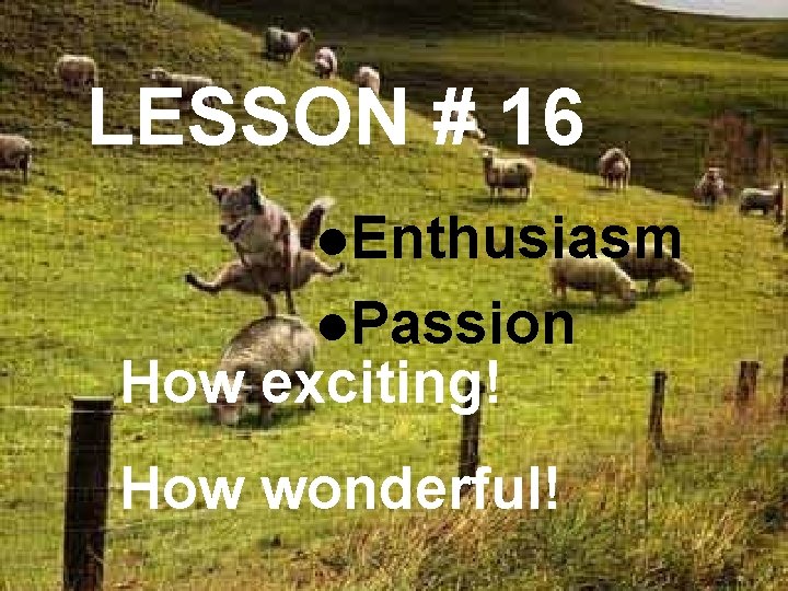 LESSON # 16 l. Enthusiasm l. Passion How exciting! How wonderful! 