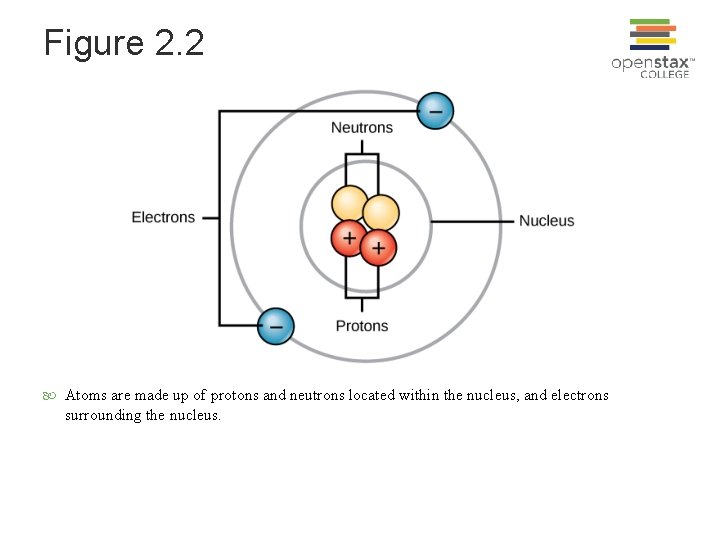 Figure 2. 2 Atoms are made up of protons and neutrons located within the